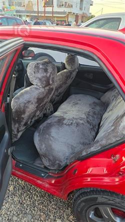 بروتون ويرا